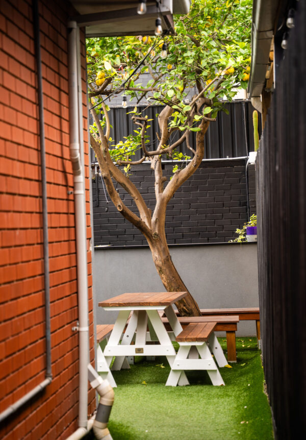 courtyard backyard outdoor seating Moonchild Cafe Bar Bistro Prahran